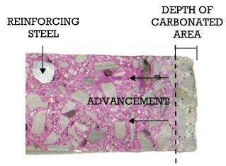 Carbonation in Concrete